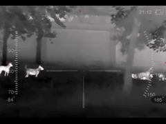 Termal görüntüleme monoküler